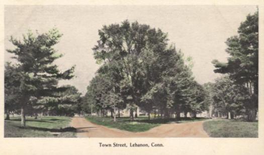 old photo of park with trees