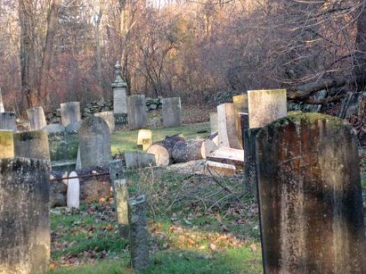chopped down tree in a cemetery