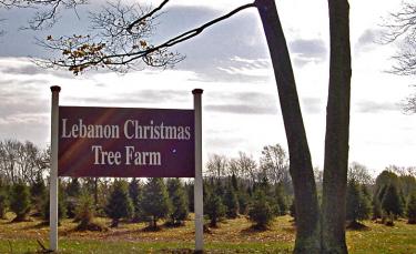 Lebanon Christmas Tree Farm sign