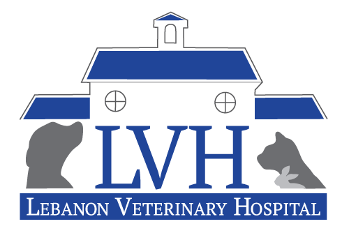 Logo of Lebanon Veterinary Hospital
