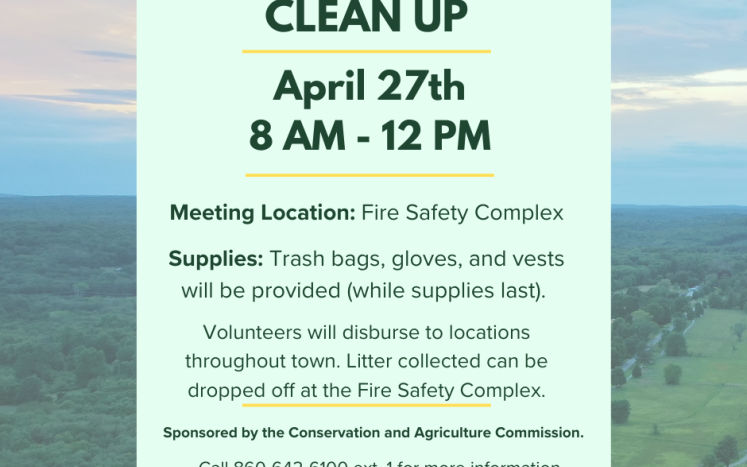 Community Clean up 